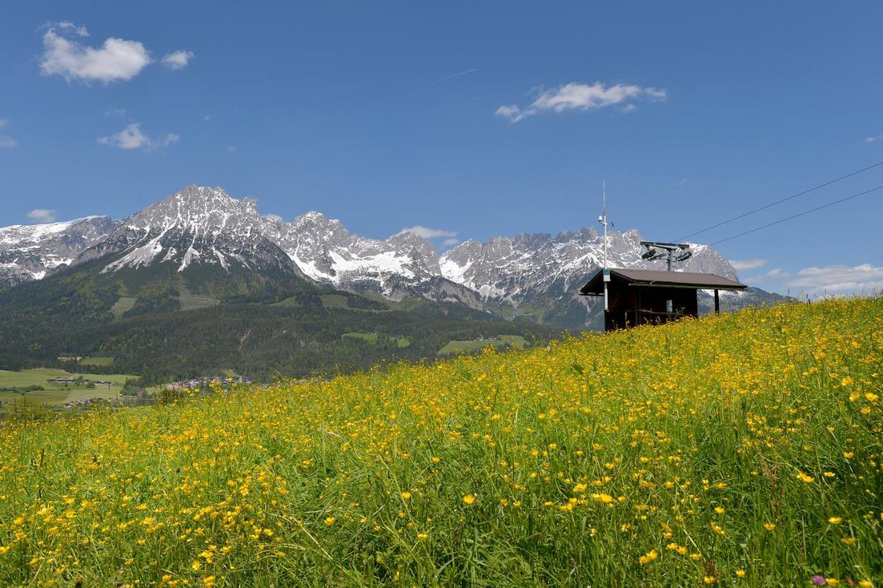 Chalet Grizzly Ellmau Dış mekan fotoğraf